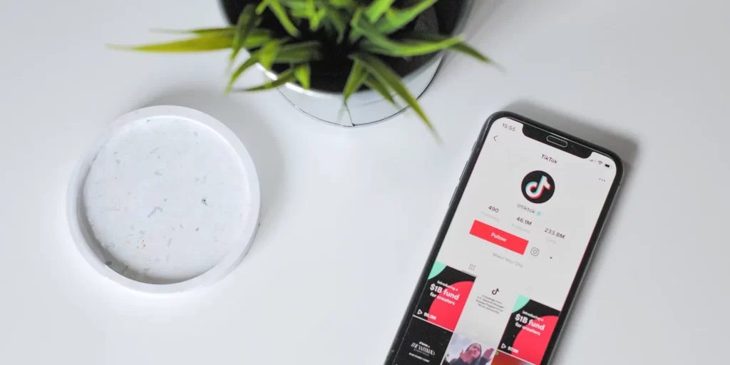TikTok app on mobile phone